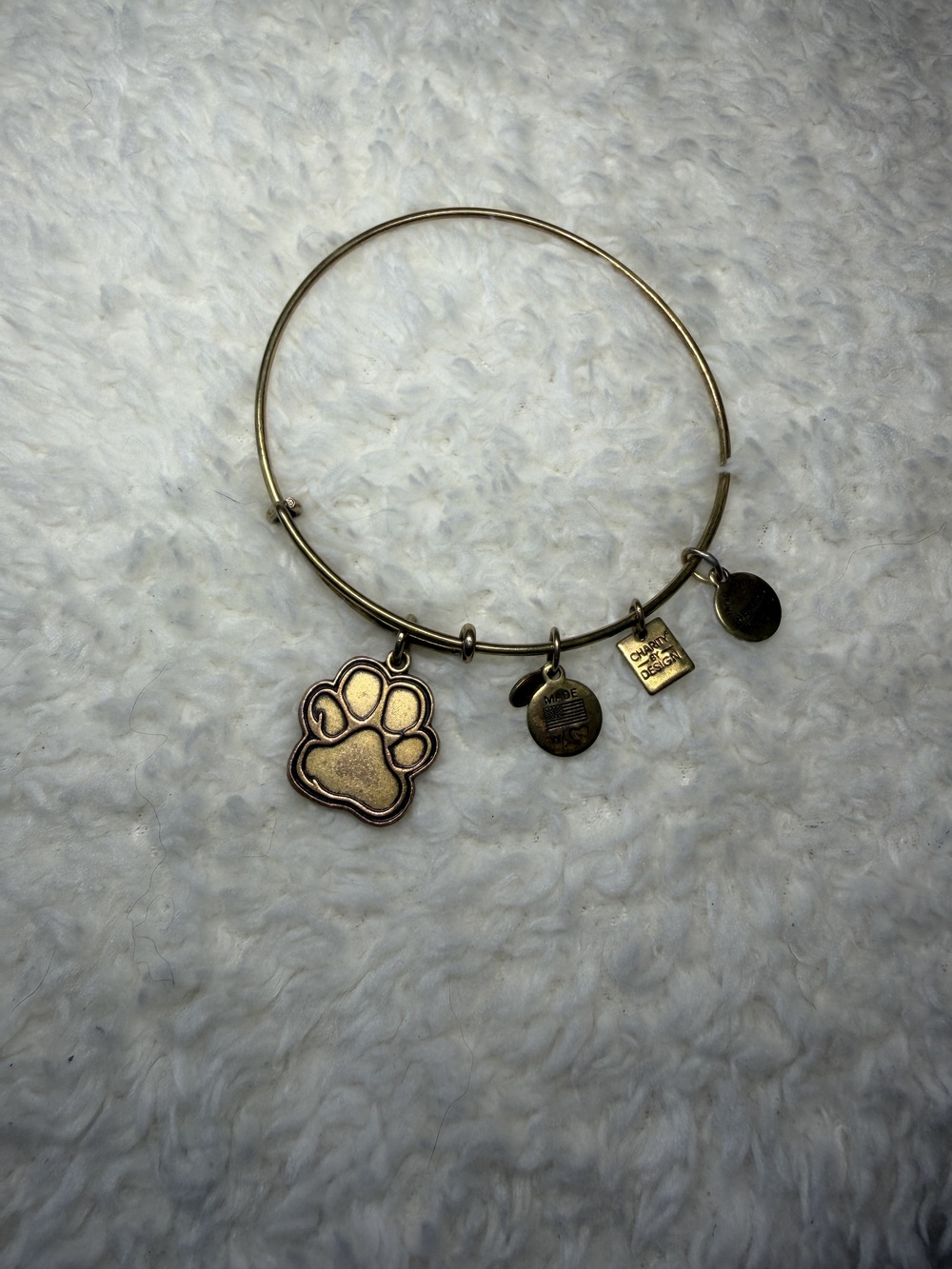 Alex and Ani Prints of Love Paw Print Bracelet Rafaelian Gold ASPCA